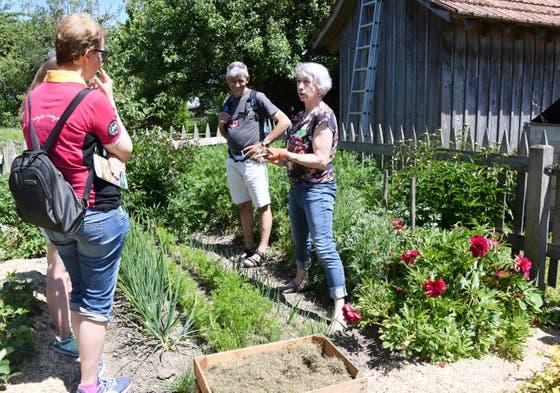 Kompost- und Gartenberaterin Helena Städler (rechts) erklärt den Besuchern das Mulchen mit getrocknetem Rasenschnitt. (Bild: Yvonne Aldrovandi)