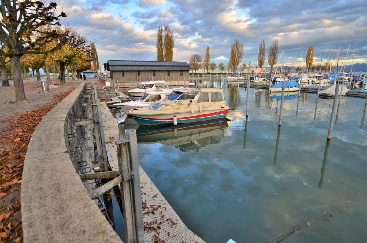 Der Arboner Hafen war dieses Jahr ein beliebter Liegeplatz für Gästeboote.