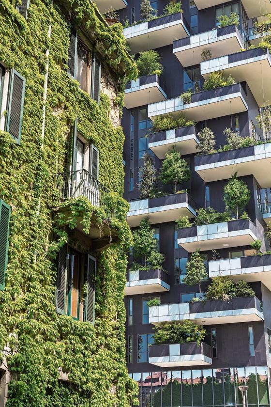 In einem Stadtquartier der Zukunft in Mailand: Eine begrünte Fassade und ein «vertikaler Wald» sollen mithelfen, das Klima zu verbessern und die Artenvielfalt zu erhalten. (Bild: Massimiliano Sechi/Getty)