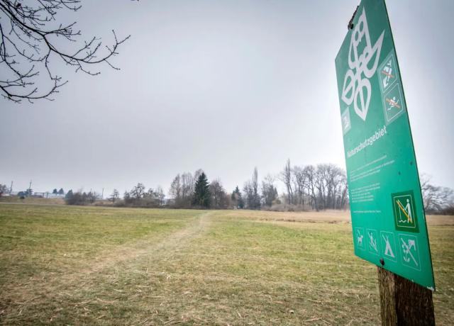 NATURSCHUTZ : Schutz der Luxburger Bucht - Kanton Thurgau fasst das heisse Eisen noch nicht an